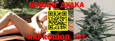 сатива Бийск