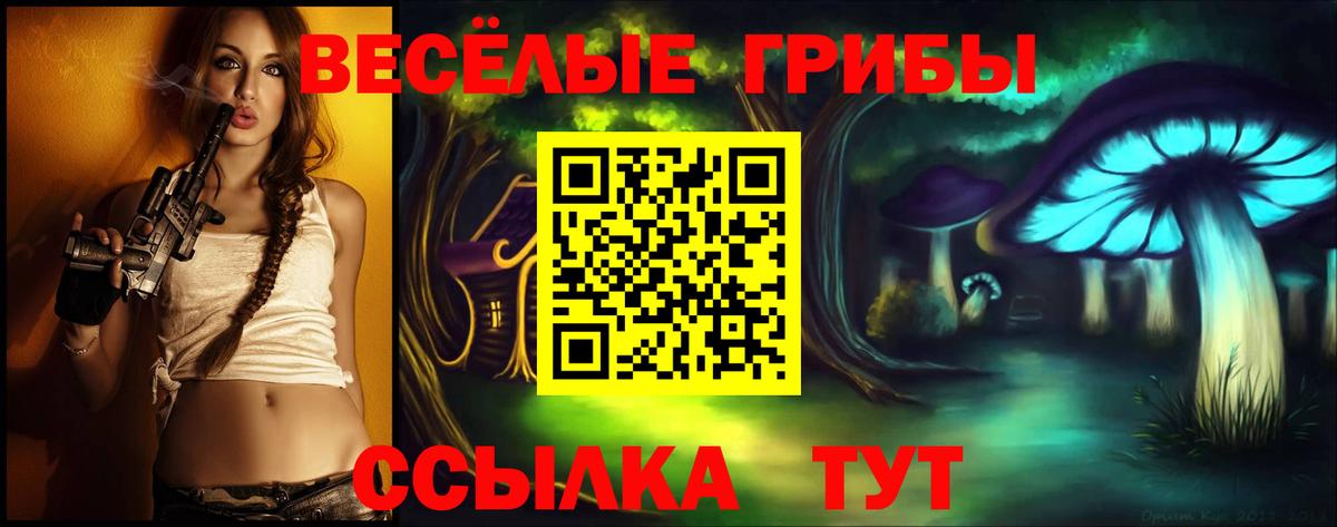 купить  сайты  Псилоцибиновые грибы мухоморы  Вход с VPN  Иваново 